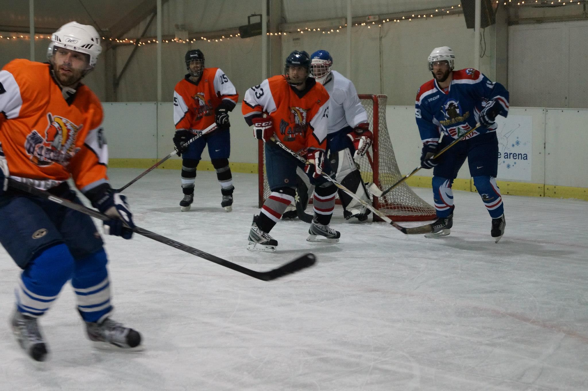madkows-albatros2-2013